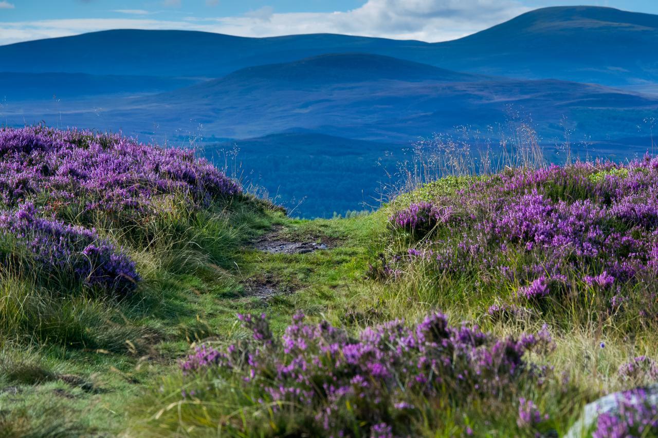 Balavil Hotel Newtonmore Zewnętrze zdjęcie